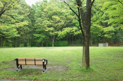 大貫谷公園の画像1