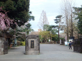 一橋大学