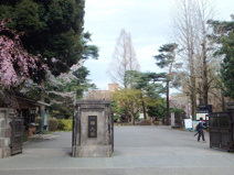 一橋大学