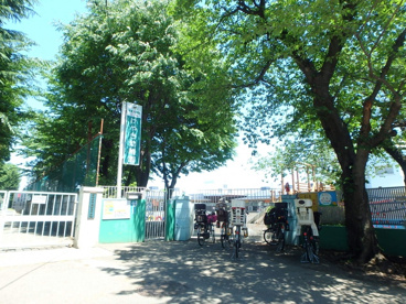 私立国分寺けやき幼稚園の画像1