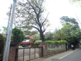 小百合幼稚園