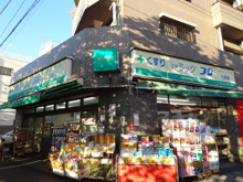 ドラッグストア ドラックフジ