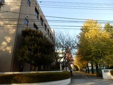 白梅幼稚園の画像1