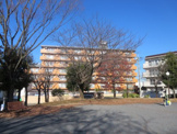 公園 十日市場石田公園