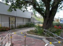 公園 戸越六丁目児童遊園