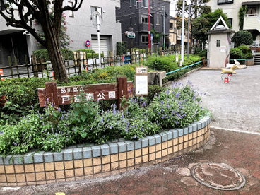 戸越南公園の画像1