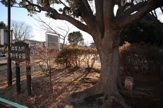 北習志野第９号公園