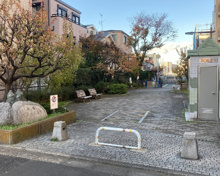 公園 平塚たけのこ公園