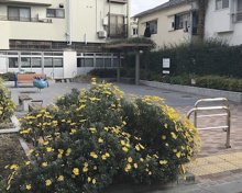 品川区立 二葉中央のんき通り広場