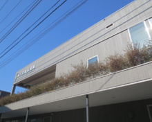 保育園 梅丘至誠保育園