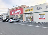V・drug 駿河下川原店