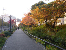 世田谷区立池尻見晴らし広場