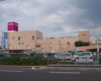 イオン 金剛店