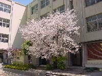 蒲生中学校