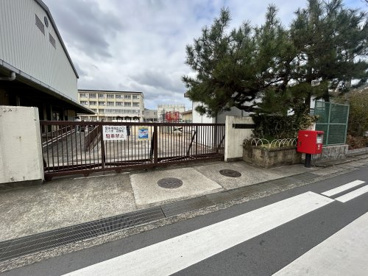 堺市立鳳小学校の画像1