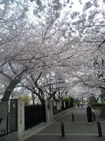 三ノ瀬公園の画像1