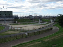 花園中央公園