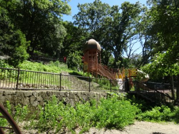 枚岡公園の画像1