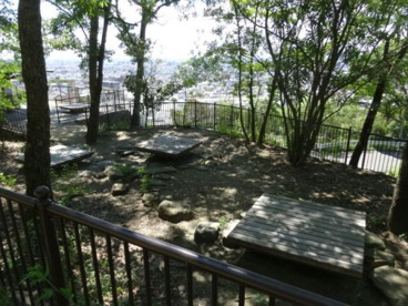 枚岡公園の画像5