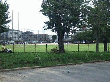 金岡公園の画像1