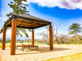 桜の森公園