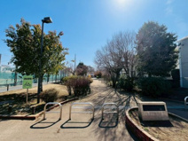 ばなな公園