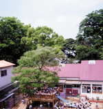 青葉幼稚園