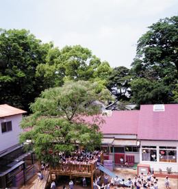 青葉幼稚園の画像1