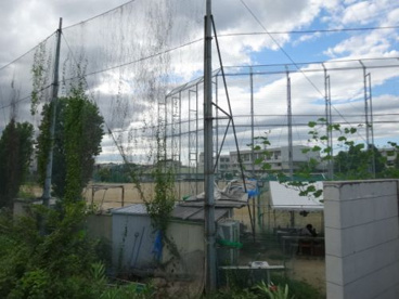 枚岡樟風高等学校の画像5