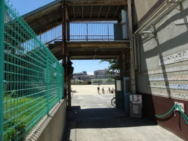 石切小学校の画像2