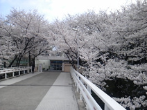 日新高等学校