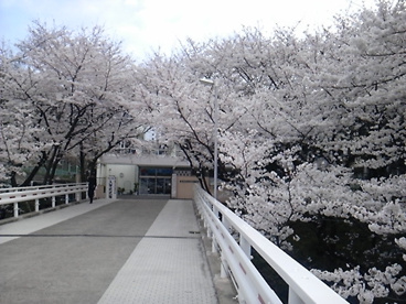 日新高等学校の画像1
