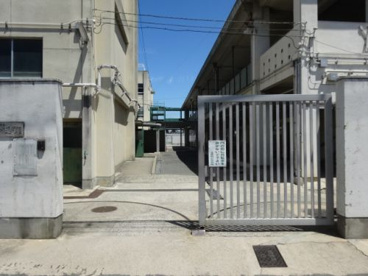 孔舎衛小学校の画像4