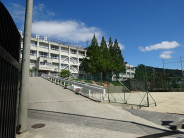 孔舎衛中学校の画像5