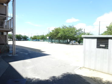 枚岡東小学校の画像4