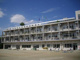 足立区立千寿双葉小学校の画像