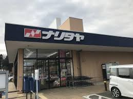 NARITAYA(ナリタヤ) 印旛日本医大前店の画像1