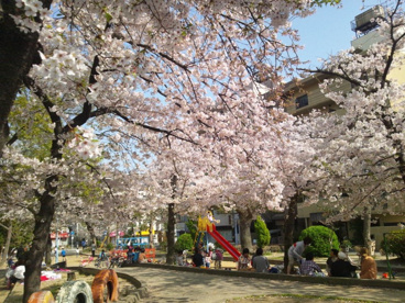 寺田町公園の画像1