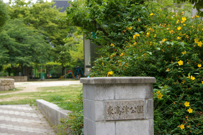 東高津公園の画像1