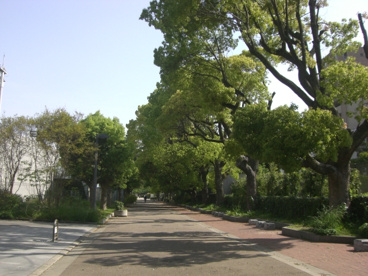 真田山公園の画像1