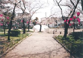 東小橋公園の画像1