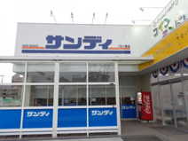 サンディ