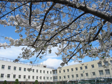 今里小学校の画像1