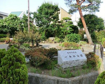 一本松公園の画像1