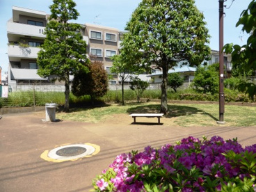 世田谷区立北沢かしのき公園の画像1