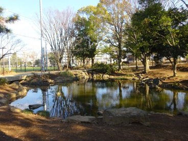 区立平和の森公園の画像1