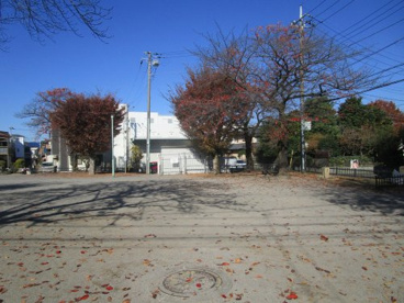 辻中道公園の画像1