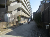 公園 白幡5丁目公園