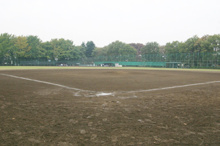 羽根木公園野球場