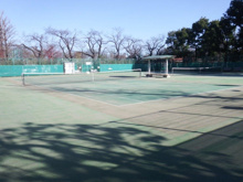 スポーツ施設 羽根木公園テニスコート